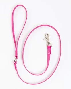A Walk in the Park Dog Leash in Magenta Pink (Made in the USA)