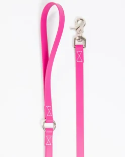 A Walk in the Park Dog Leash in Magenta Pink (Made in the USA)