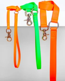 A Walk in the Park Dog Leash (Made in the USA)