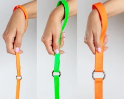 A Walk in the Park Dog Leash (Made in the USA)