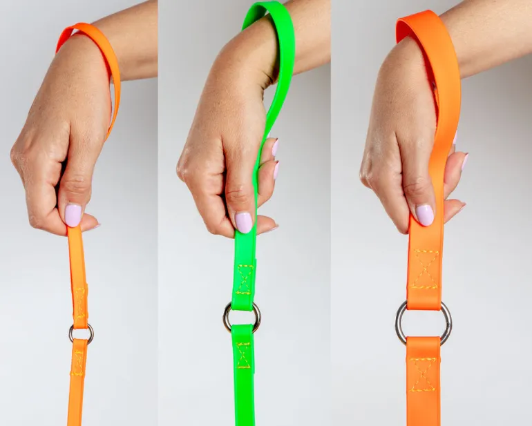 A Walk in the Park Dog Leash (Made in the USA)