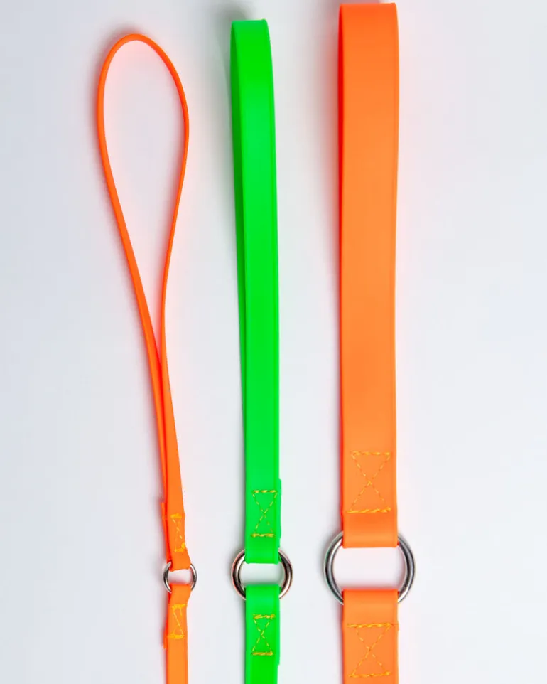 A Walk in the Park Dog Leash (Made in the USA)