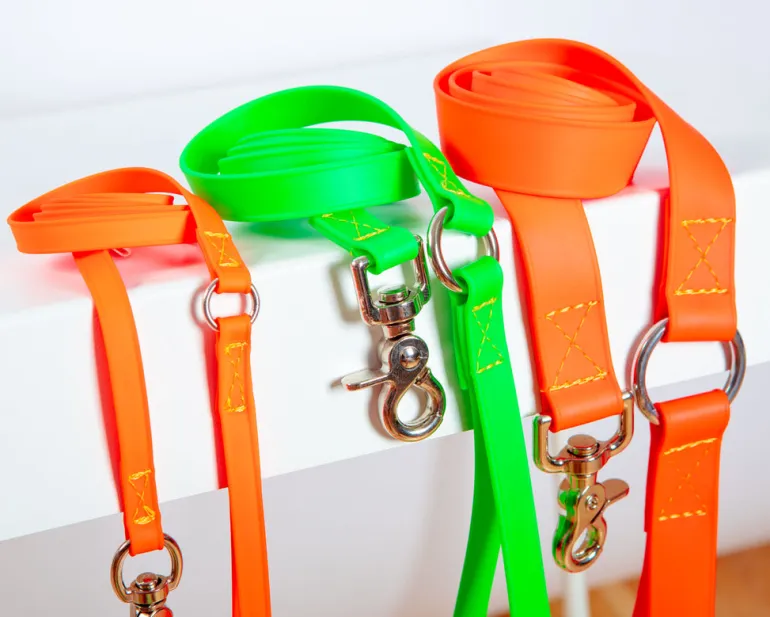 A Walk in the Park Dog Leash (Made in the USA)