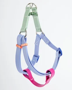 A Walk in the Park Waterproof Dog Harness in Magenta, Periwinkle, & Sage Green (Made in the USA)
