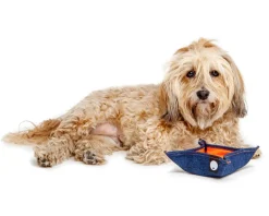 Bandana Bowl For Dogs (Made in the USA)