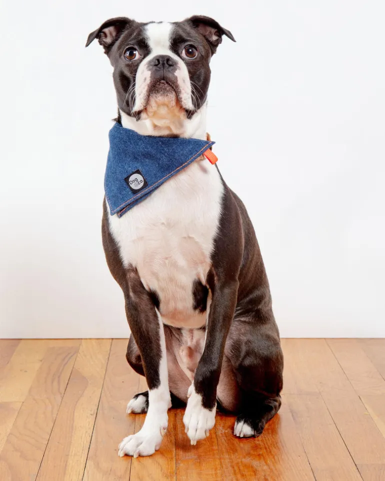 Bandana Bowl For Dogs (Made in the USA)
