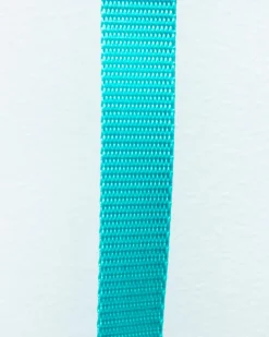 Basic Nylon Dog Leash in Aqua (Made in the USA) (FINAL SALE)