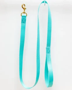 Basic Nylon Dog Leash in Aqua (Made in the USA) (FINAL SALE)