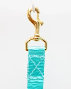 Basic Nylon Dog Leash in Aqua (Made in the USA) (FINAL SALE)