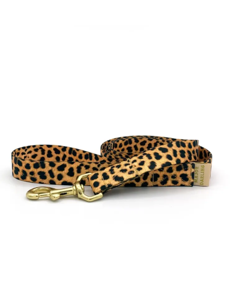 Basic Nylon Dog Leash in Leopard (Made in the USA)