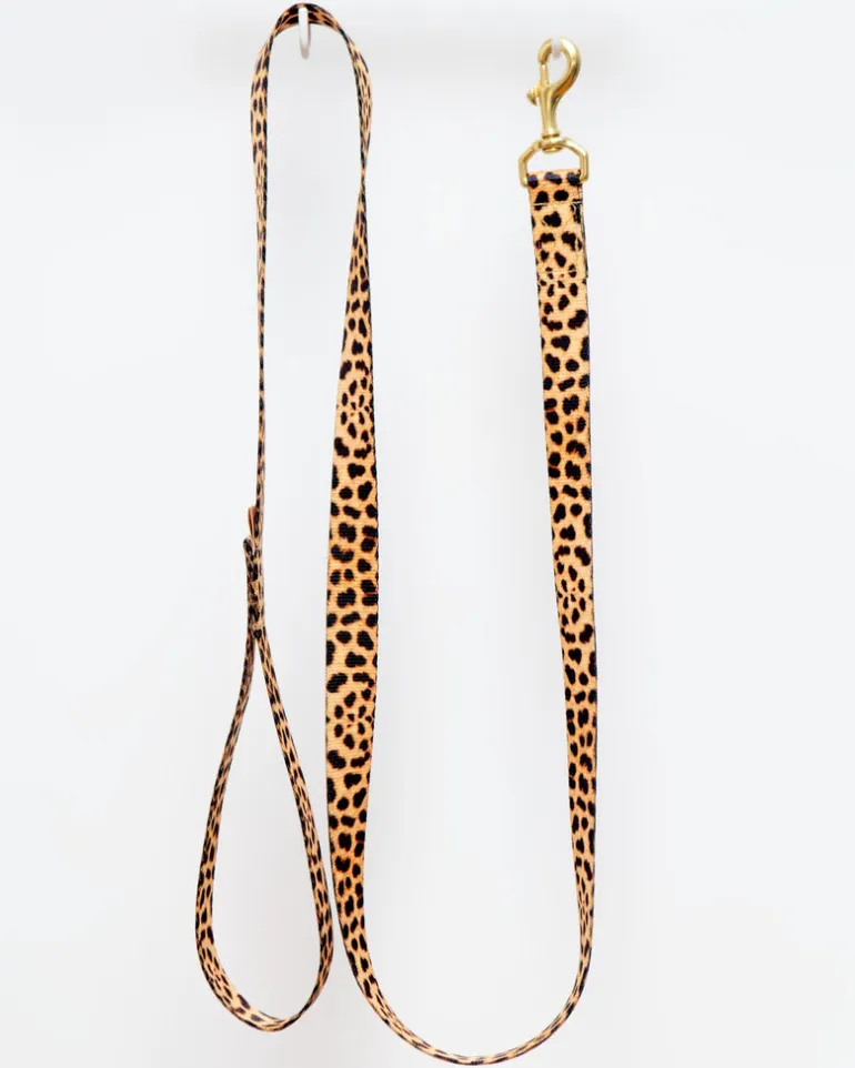 Basic Nylon Dog Leash in Leopard (Made in the USA)