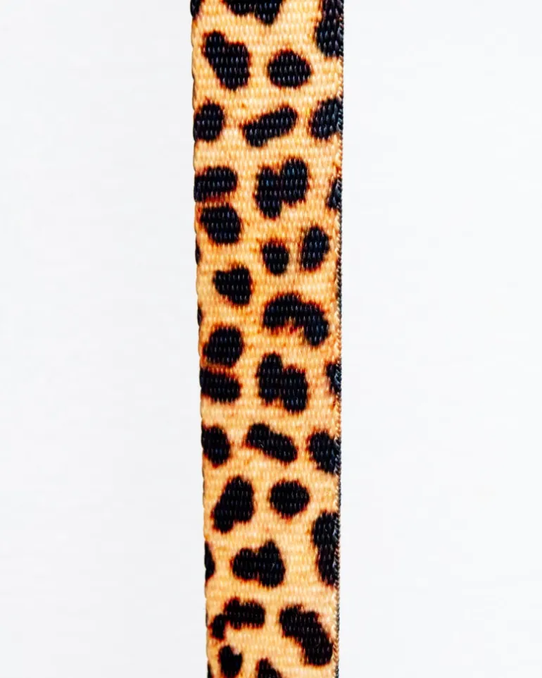 Basic Nylon Dog Leash in Leopard (Made in the USA)