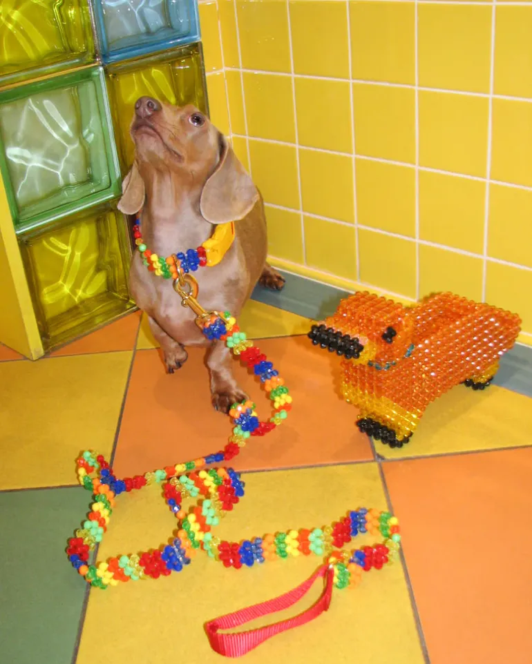 Beaded Dog Collar in Playdate (Made in the USA)
