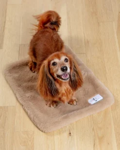 Big Baby Dog Blanket in Truffle (Made in the USA)