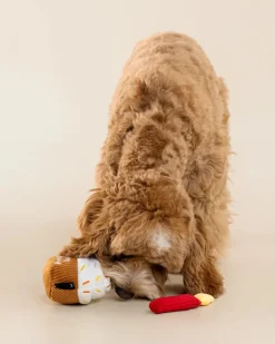 Birthday Cupcake Squeaky Snuffle Dog Toy