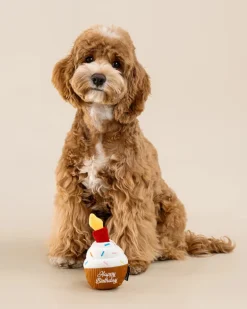 Birthday Cupcake Squeaky Snuffle Dog Toy