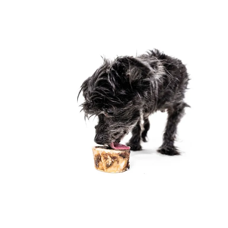 Bison Marrow Long-Lasting Chew Bones