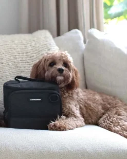 Bistro Box Dog Food Travel Kit
