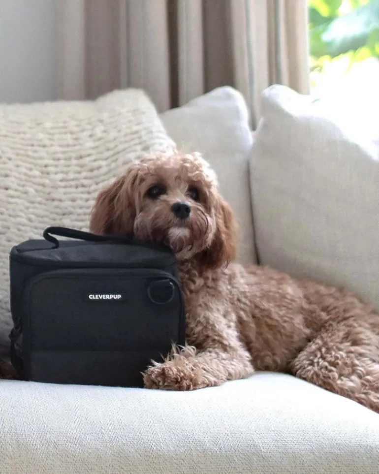 Bistro Box Dog Food Travel Kit