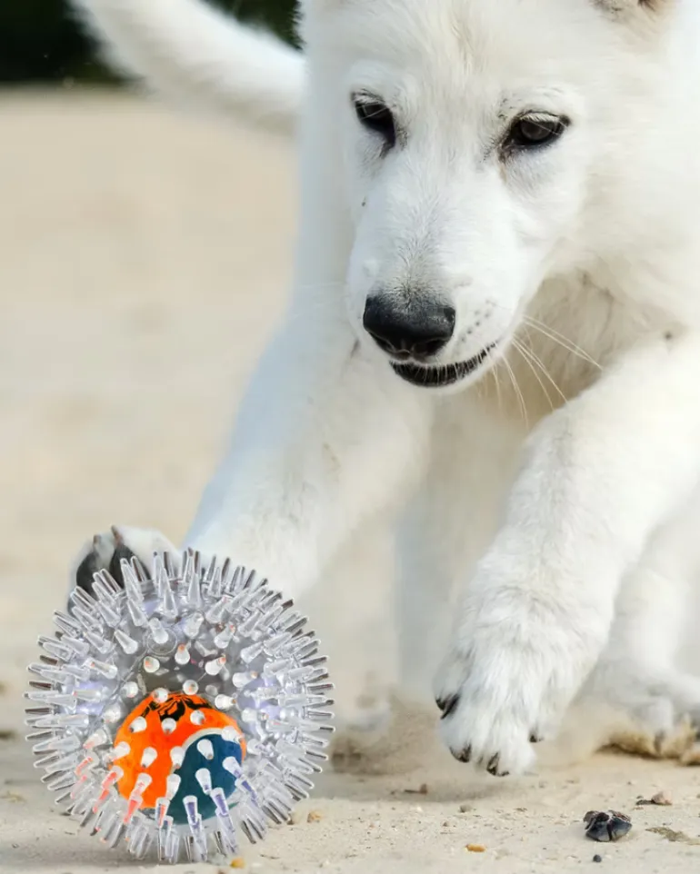 BiteTek™ Gorilla Ball Duo Dog Toy (4")