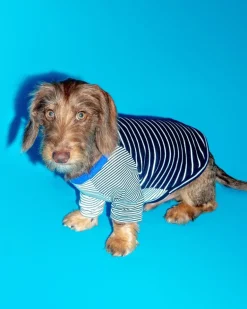 Black & White Crazy Striped Dog T-Shirt (Made in the USA)