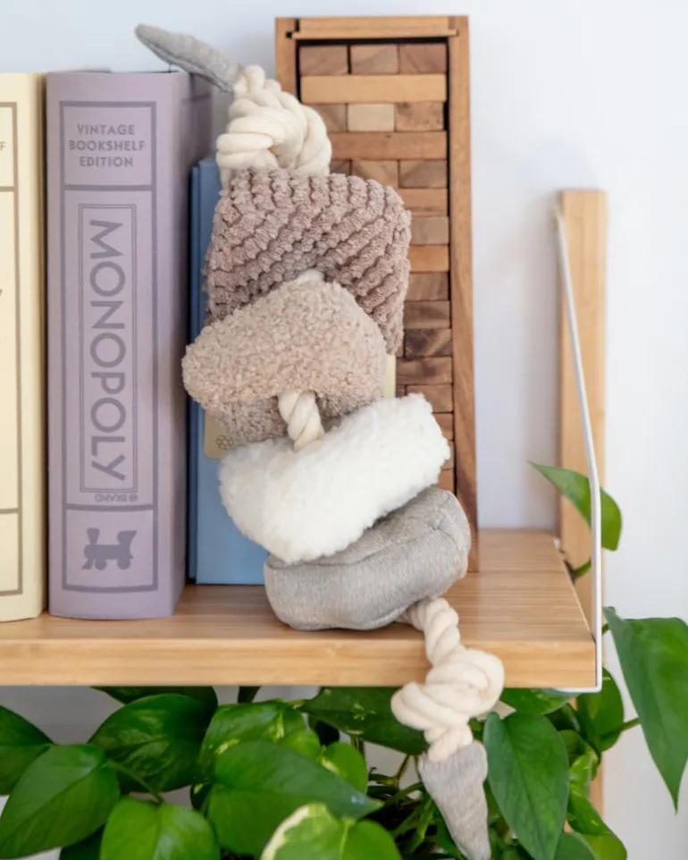 Blocs Interactive Tug Dog Toy
