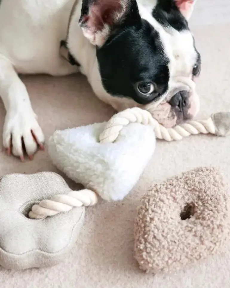 Blocs Interactive Tug Dog Toy