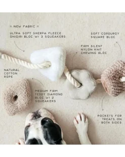Blocs Interactive Tug Dog Toy