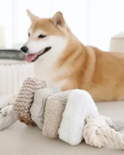 Blocs Interactive Tug Dog Toy
