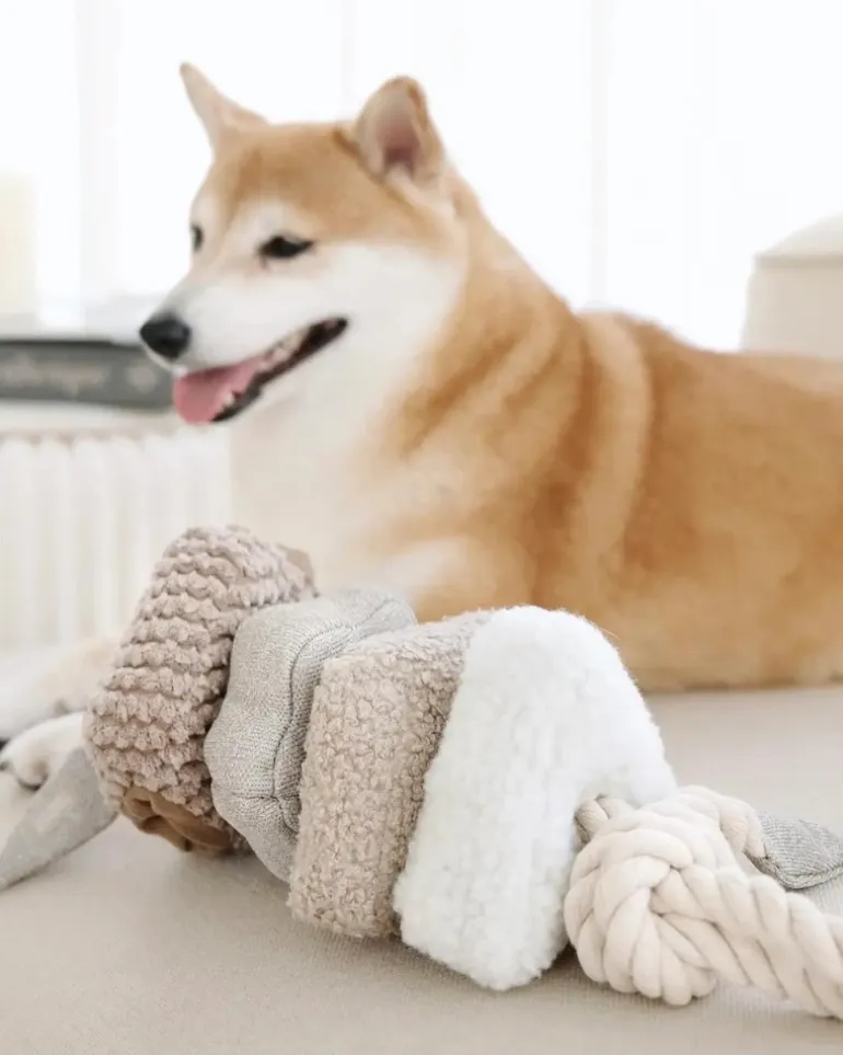Blocs Interactive Tug Dog Toy