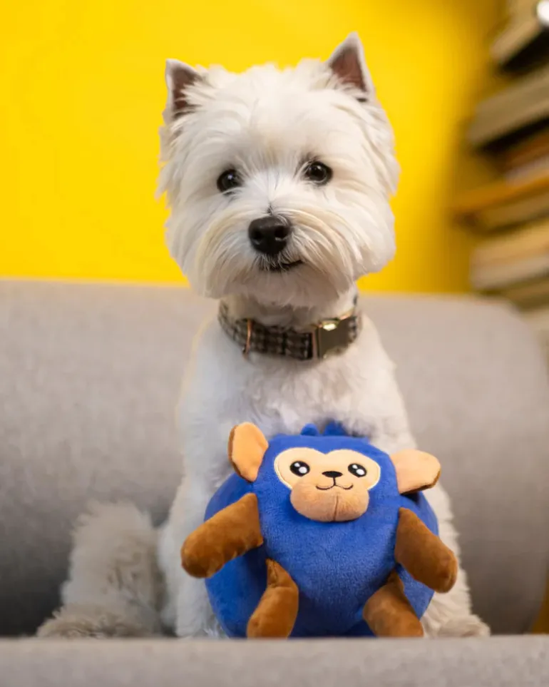 Blueberry Monkey Squeaky Plush Dog Toy