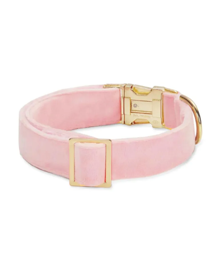 Blush Pink Velvet Dog Collar (Made in the USA) (FINAL SALE)