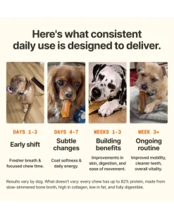 Bone Broth Dog Chew Stick