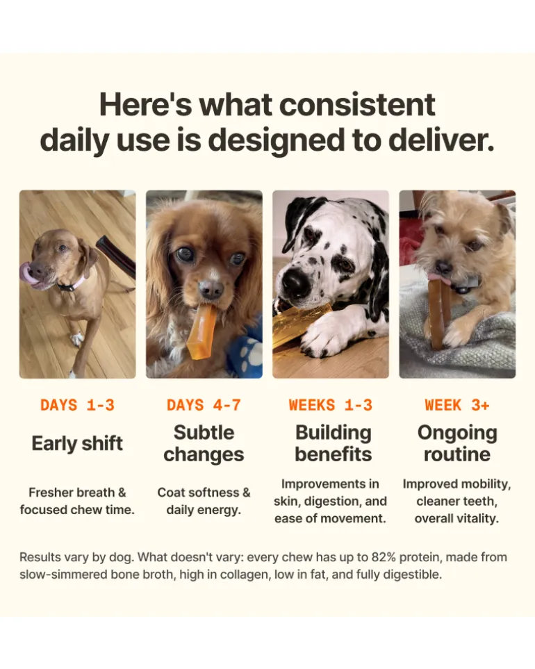 Bone Broth Dog Chew Stick