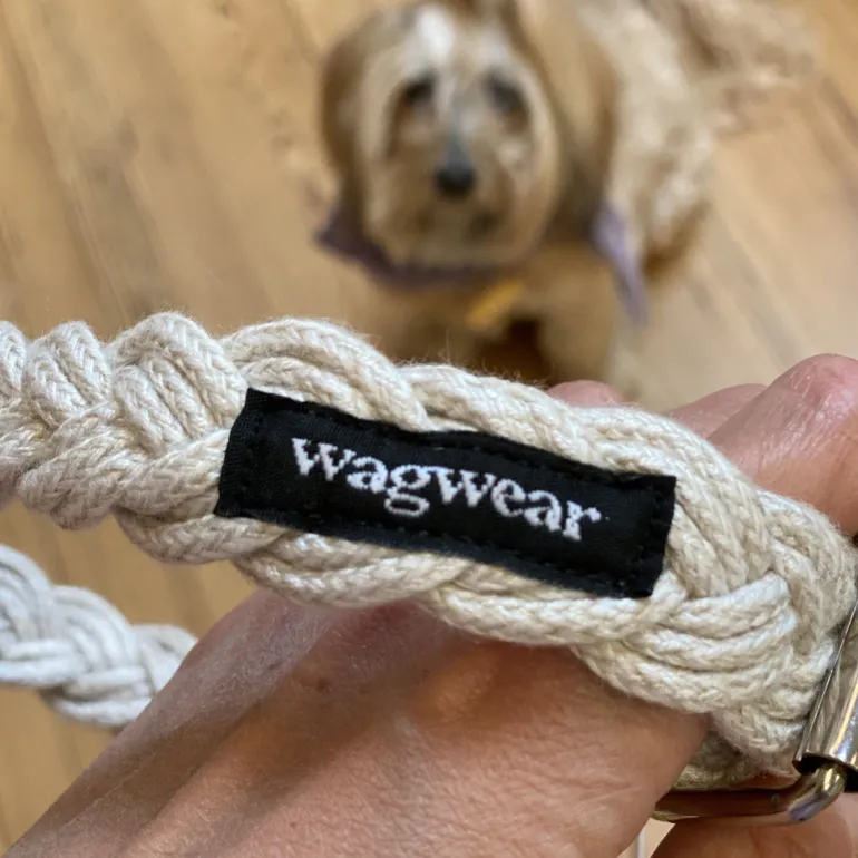 Braided Fisherman Dog Collar in Off-White (Made in the USA)