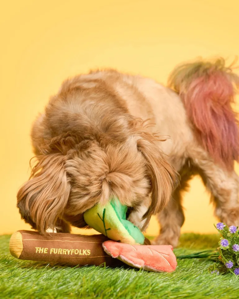 Branch Manager Nosework Plush Dog Toy