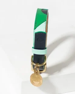 Brave Leather Dog Collar (Made in Guatemala) (FINAL SALE)