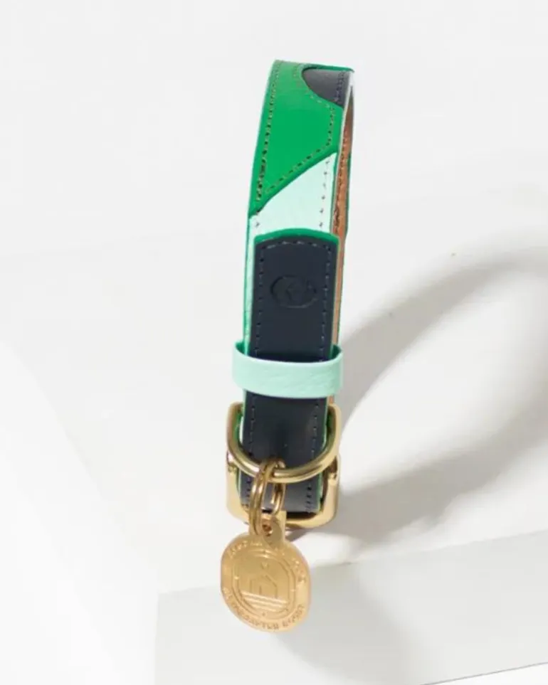 Brave Leather Dog Collar (Made in Guatemala) (FINAL SALE)