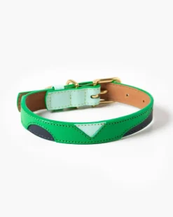 Brave Leather Dog Collar (Made in Guatemala) (FINAL SALE)