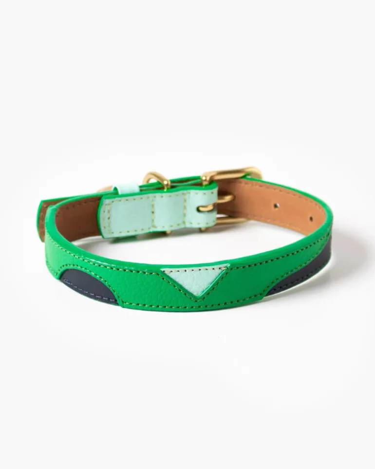 Brave Leather Dog Collar (Made in Guatemala) (FINAL SALE)
