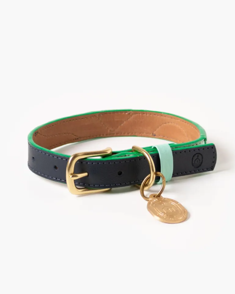 Brave Leather Dog Collar (Made in Guatemala) (FINAL SALE)
