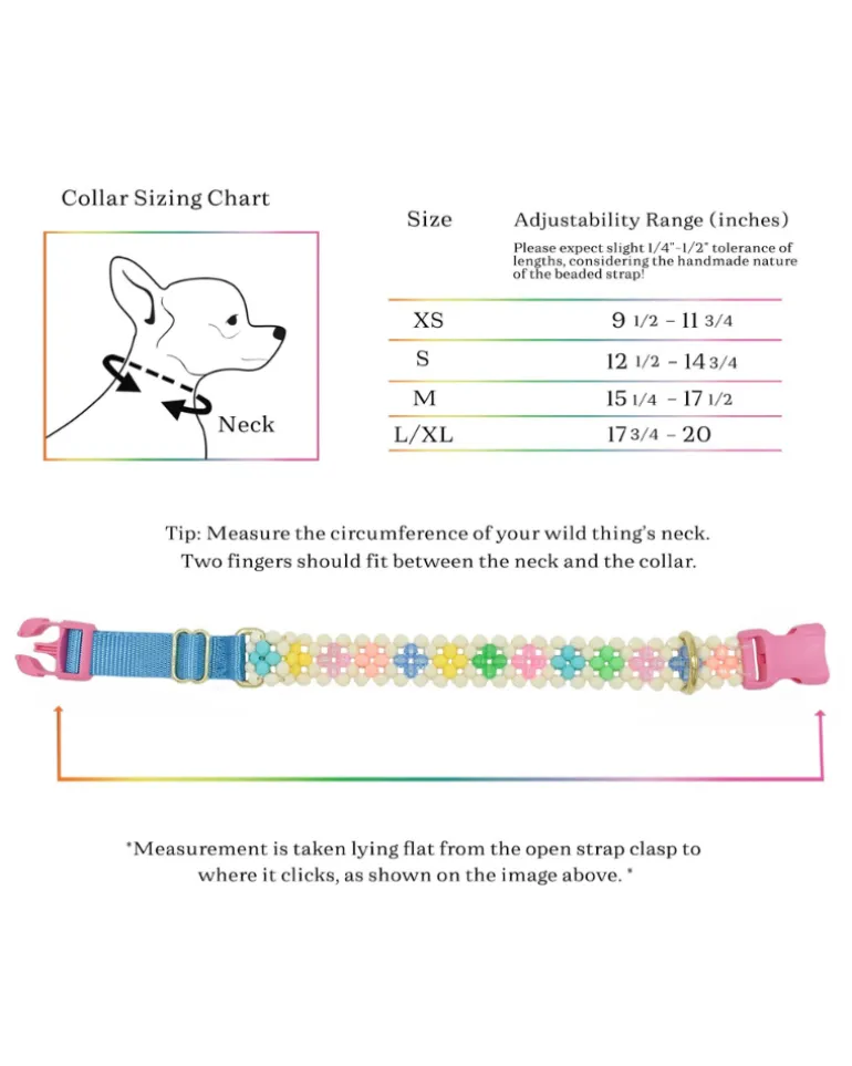Broadway Beaded Dog Collar in Matinee (Made in the USA)