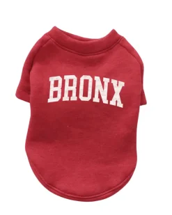 Bronx Dog Sweatshirt in Red