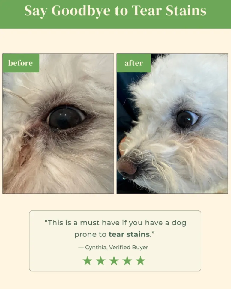 Brush on Me Pet Facial & Eye Comb