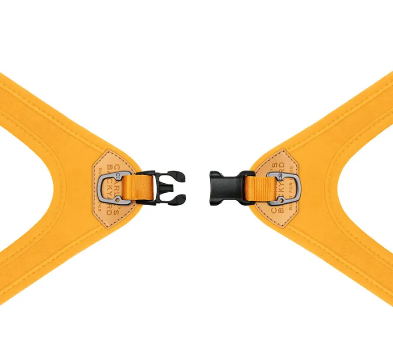 Buckle Up Easy Dog Harness in Black