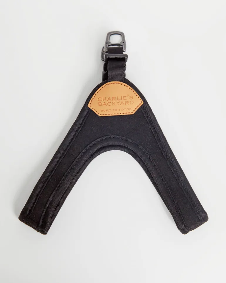 Buckle Up Easy Dog Harness in Black