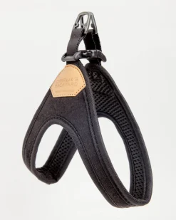 Buckle Up Easy Dog Harness in Black