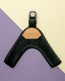Buckle Up Easy Dog Harness in Black