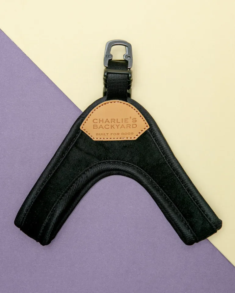 Buckle Up Easy Dog Harness in Black