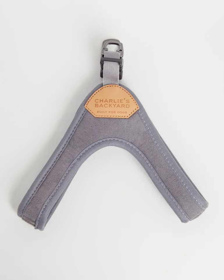 Buckle Up Easy Dog Harness in Gray